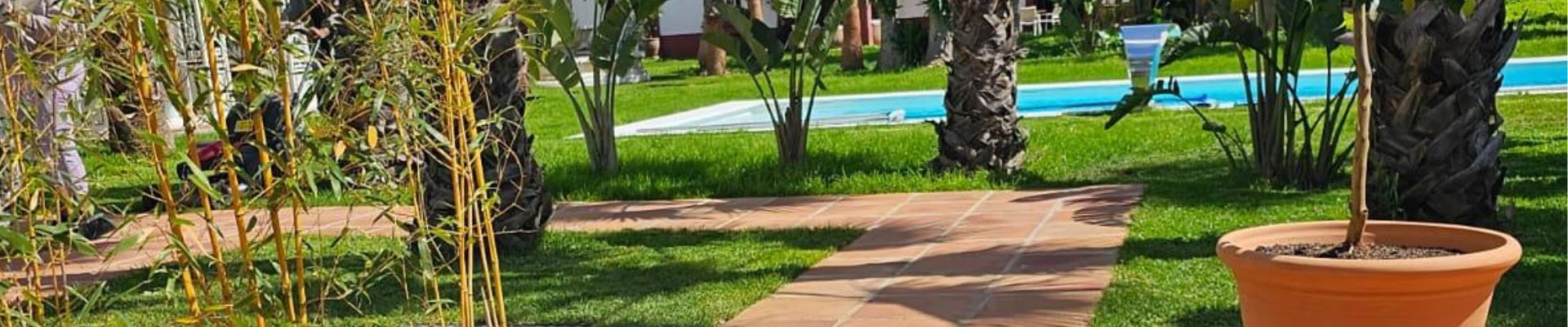 apartamentos en alquiler en mijas